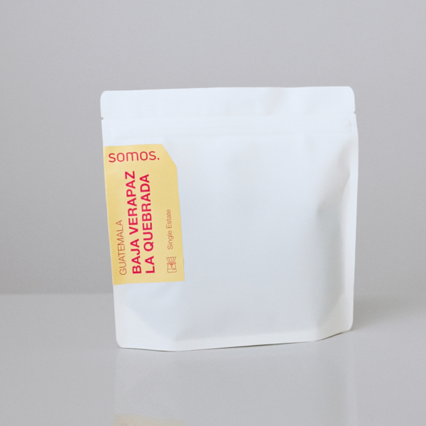 Guatemala - La Quebrada <br> Single Estate Filter